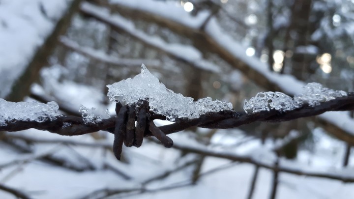Wired Ice