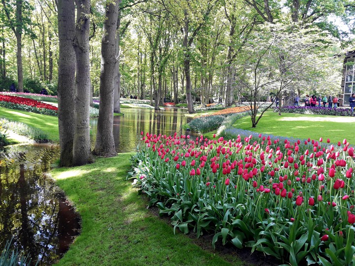 keukenhof