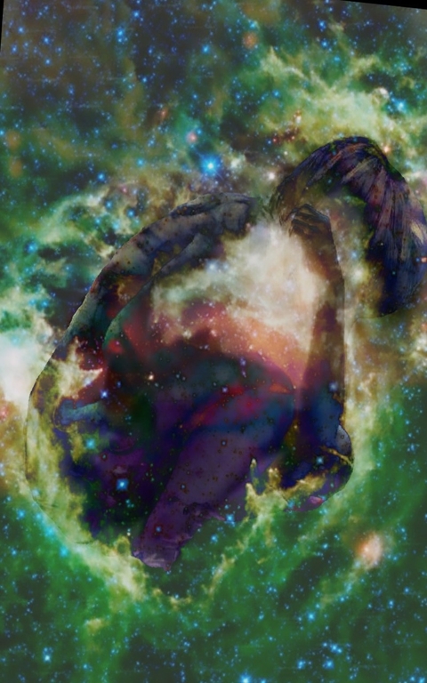 Cradled in Fear and Stars