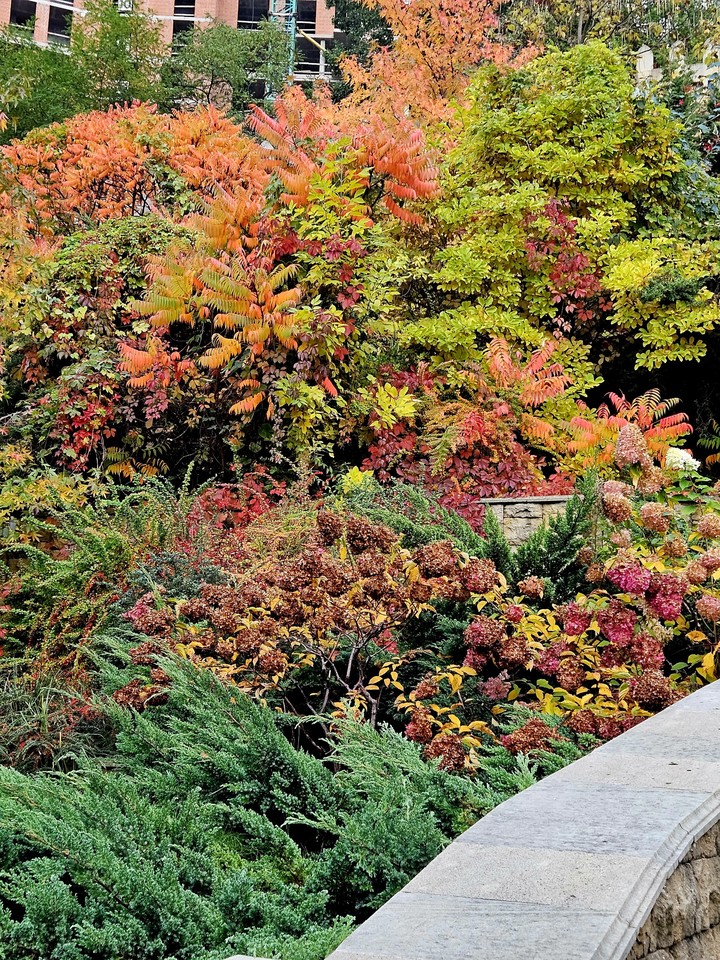 Beautiful fall