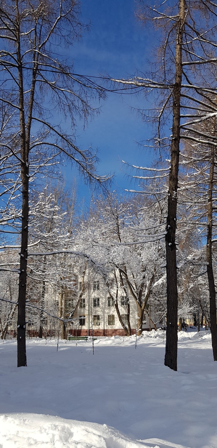 зима