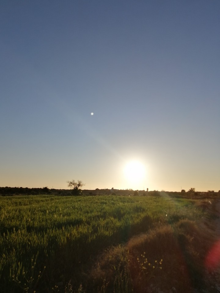 sun