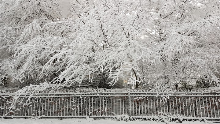 all white