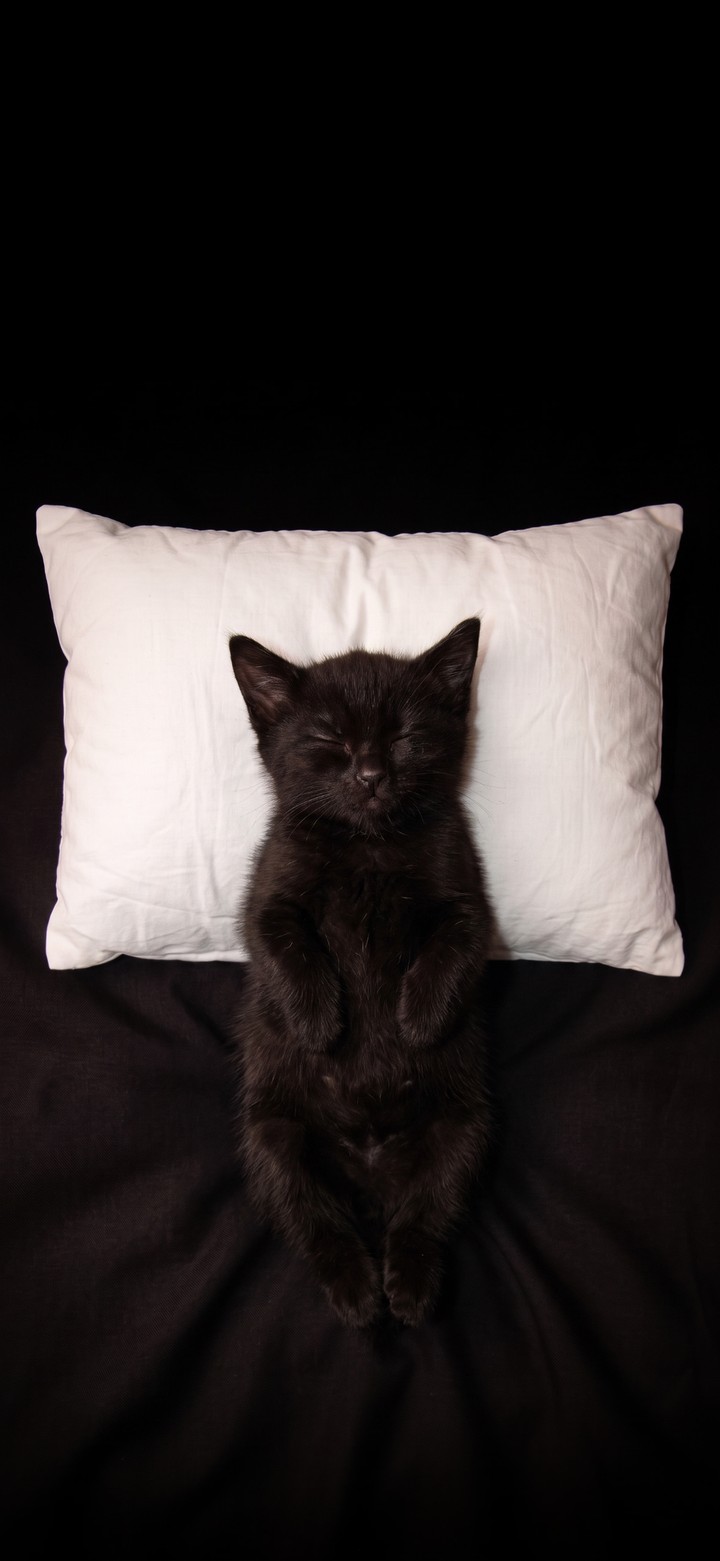 ταπετσαρίες whiskers, linens