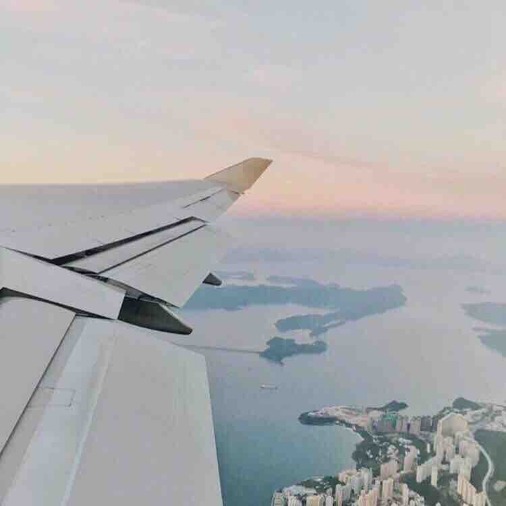 gentle wing of plane