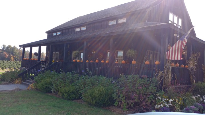 pumpkins