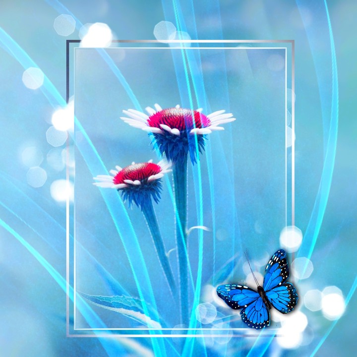 wallpaper...in blue...