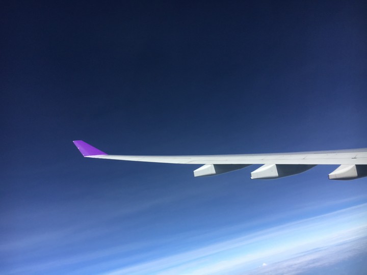 Fly high