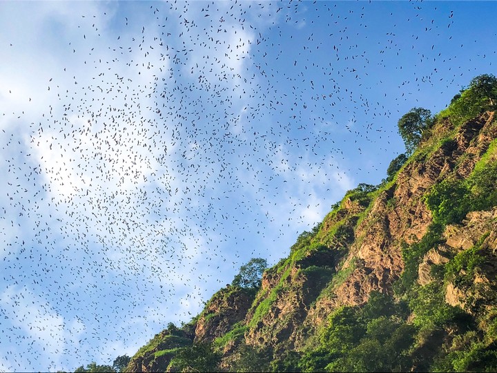 Fly away