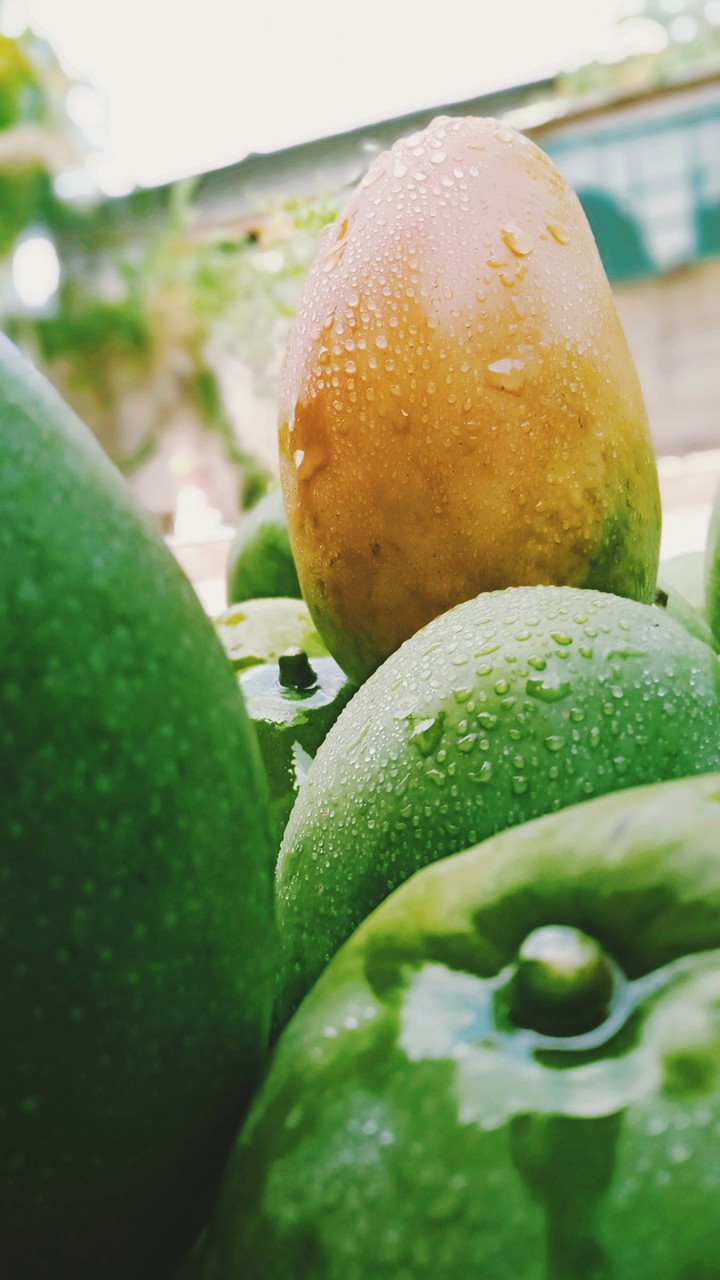 mangos