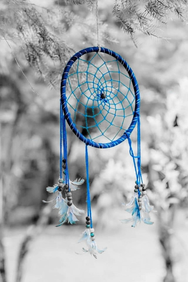 DreamCatcher