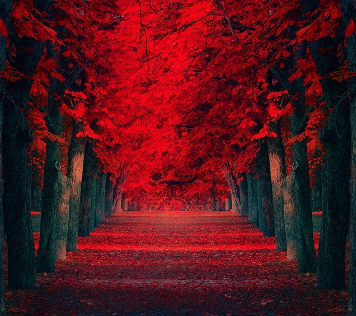 Beautiful red road