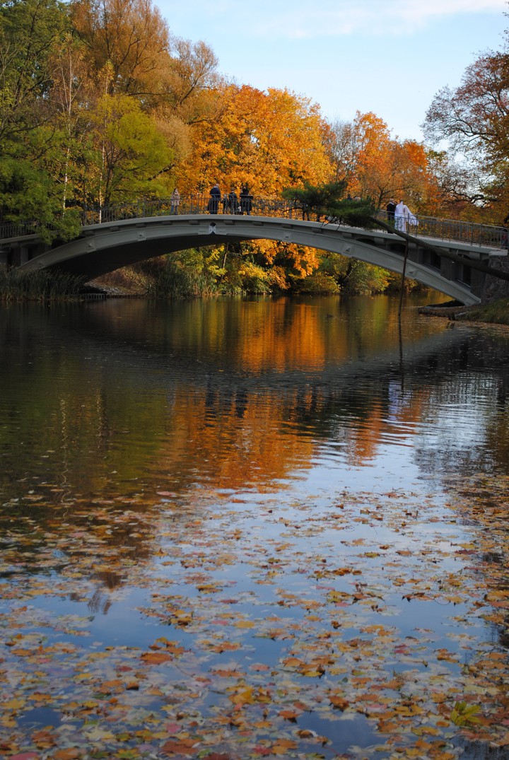 autumn