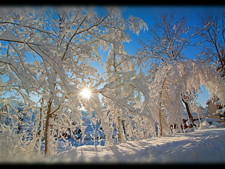 winter wonder land