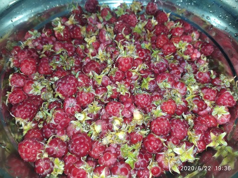 raspberry