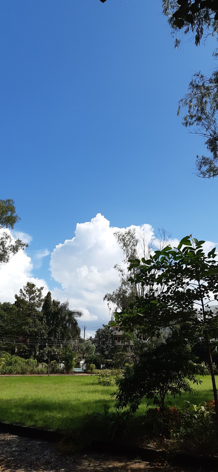 Sky