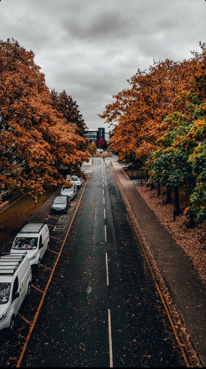 autumn