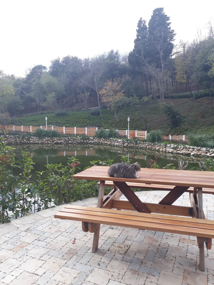 Doğa