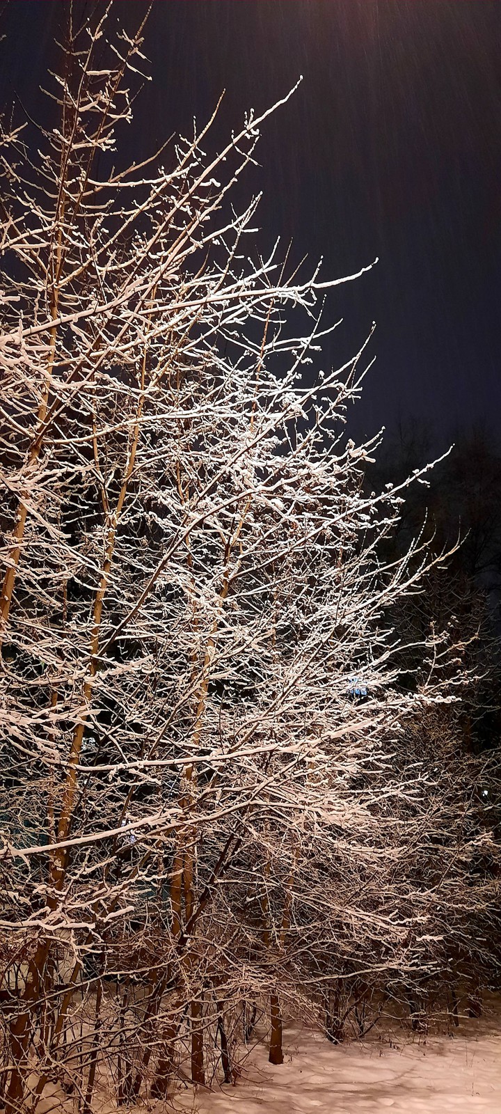 ❄
