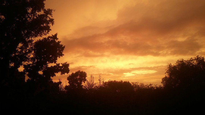 like a gold