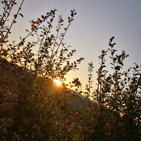 tramonto