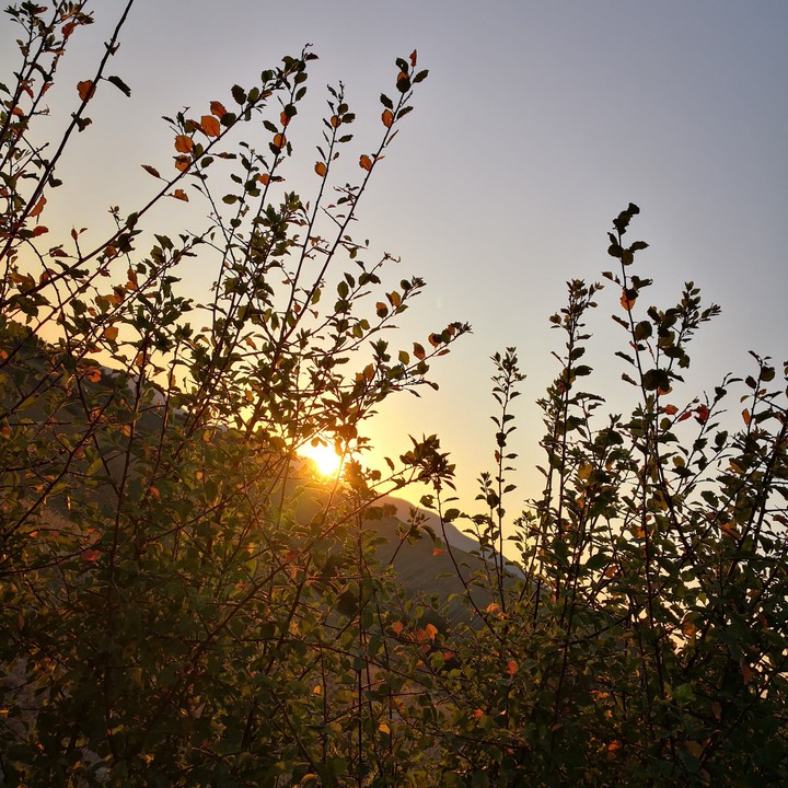 tramonto