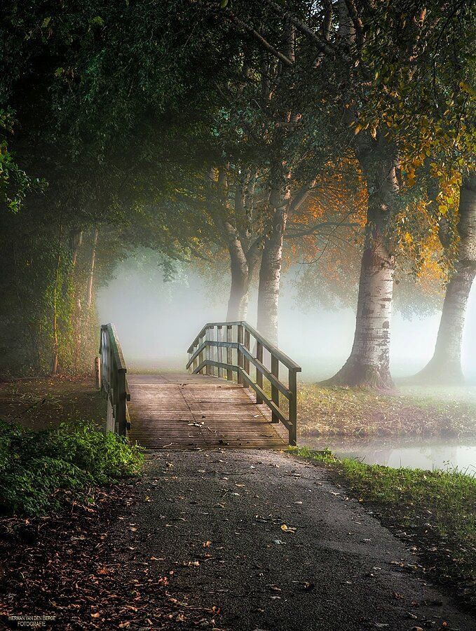 Autumn Road...