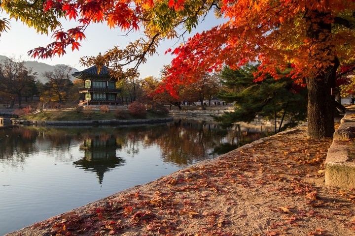 경복궁 향원정