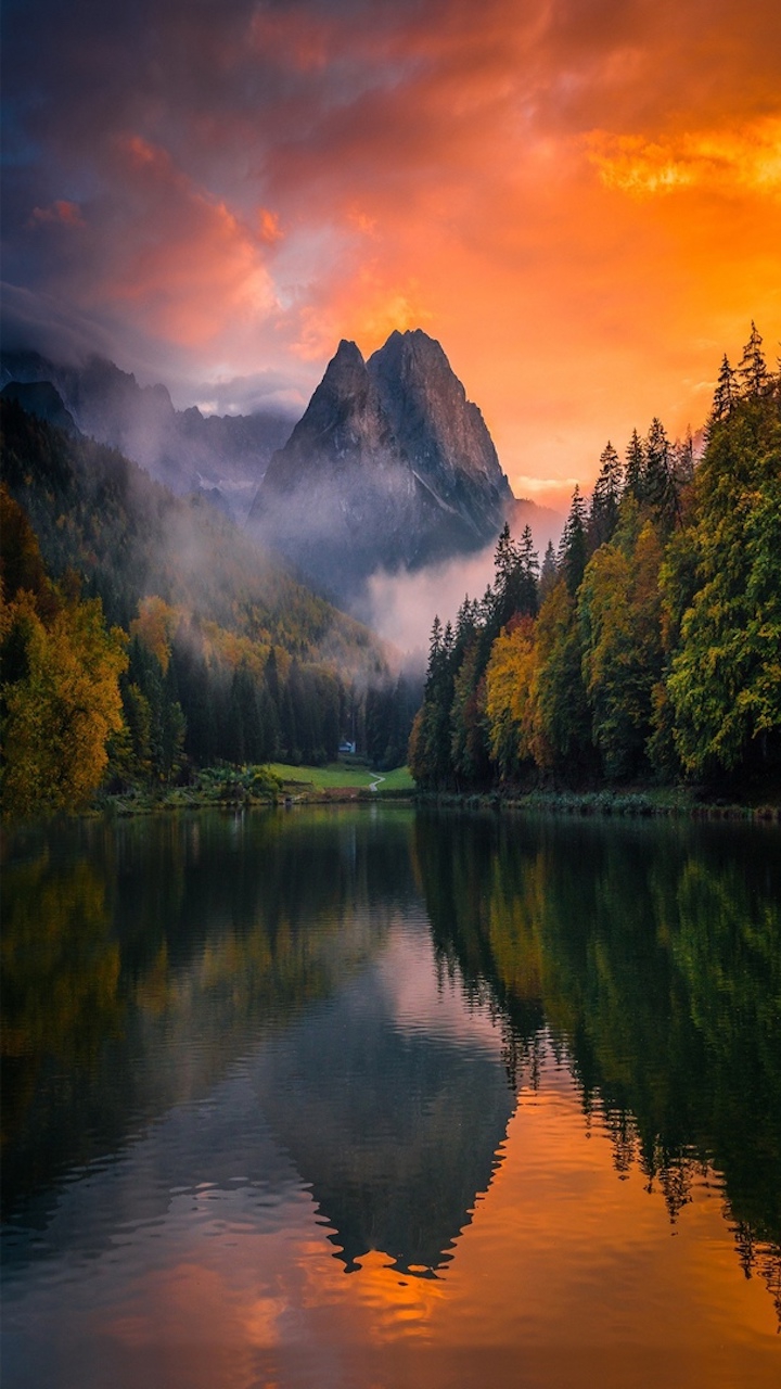 BEAUTY of NATURE