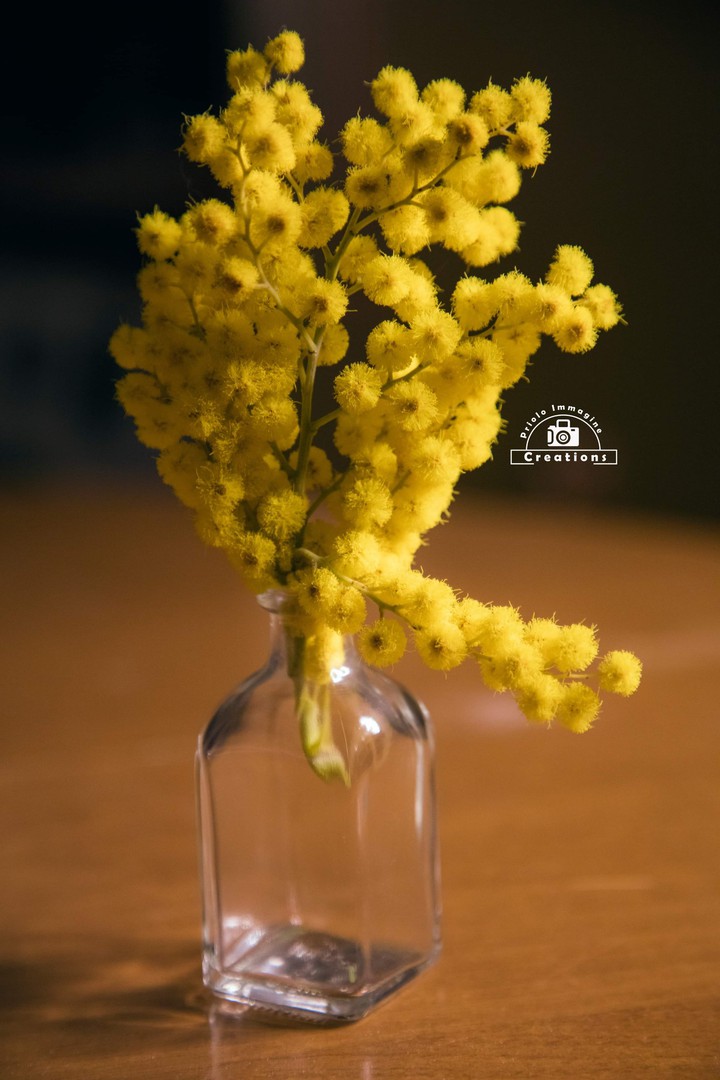 Women's day