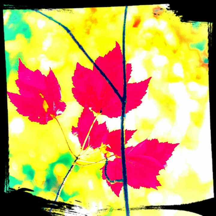 flor
