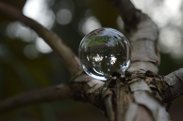 water droplet