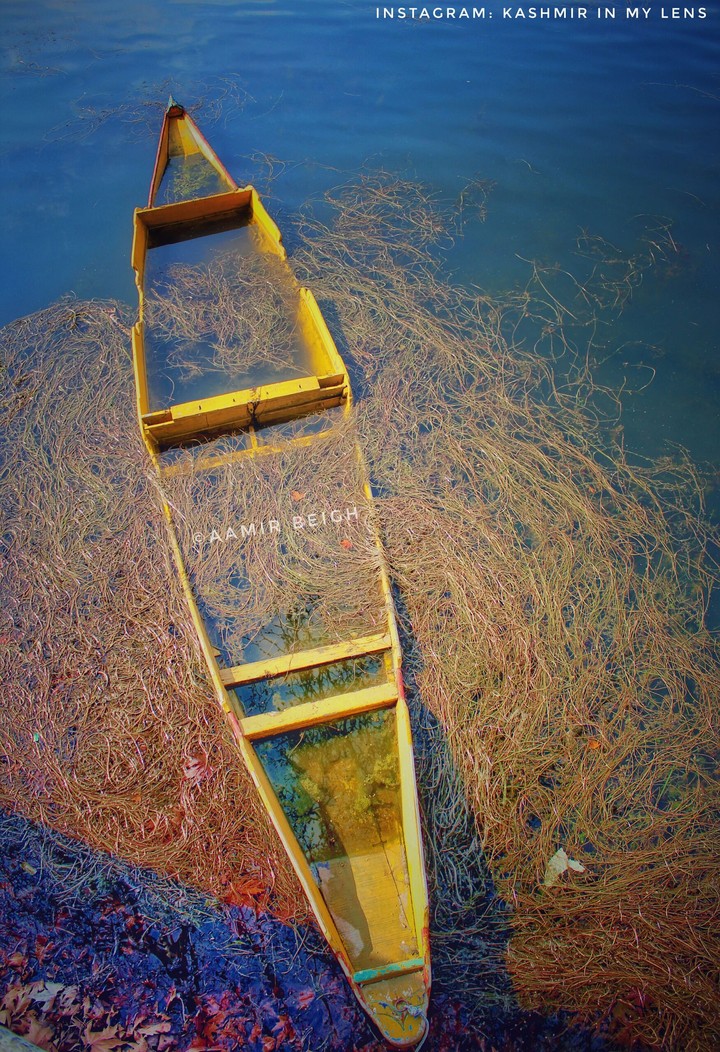 Boat in Dal Lake, Srinagar
