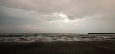 ph