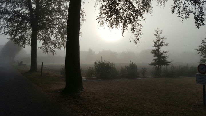 mist