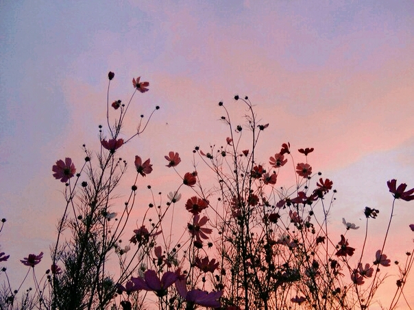 #style #spring #flower #love #pretty #beautifulflowers