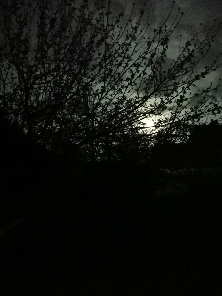 night