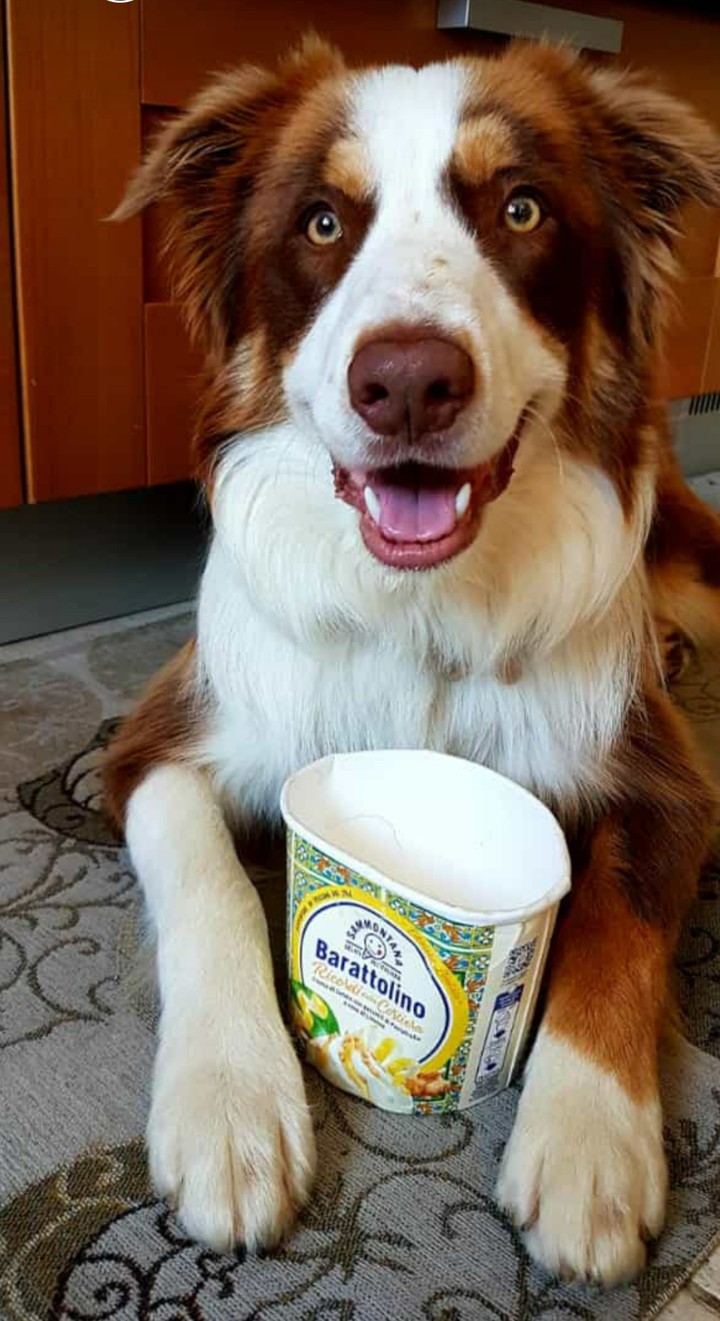 buono il gelato!!!