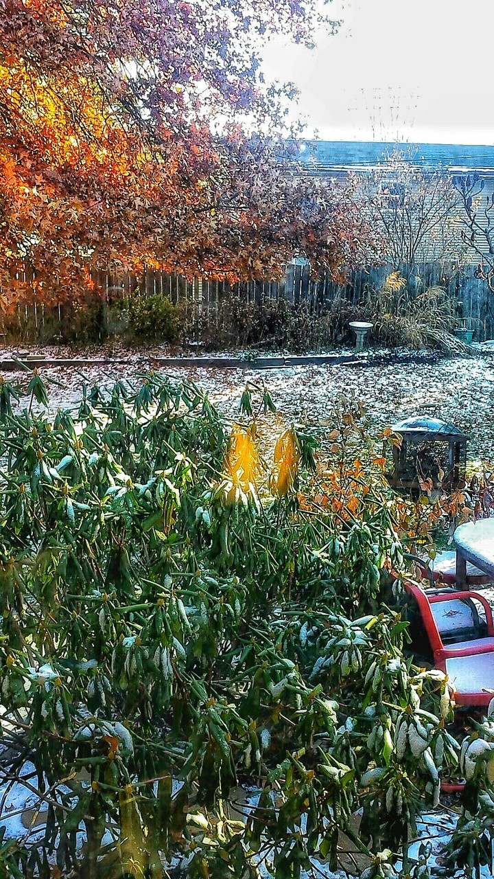 A dusting