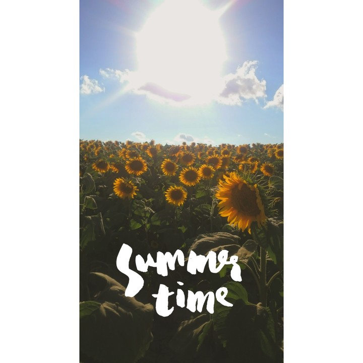 ❇Summer time❇