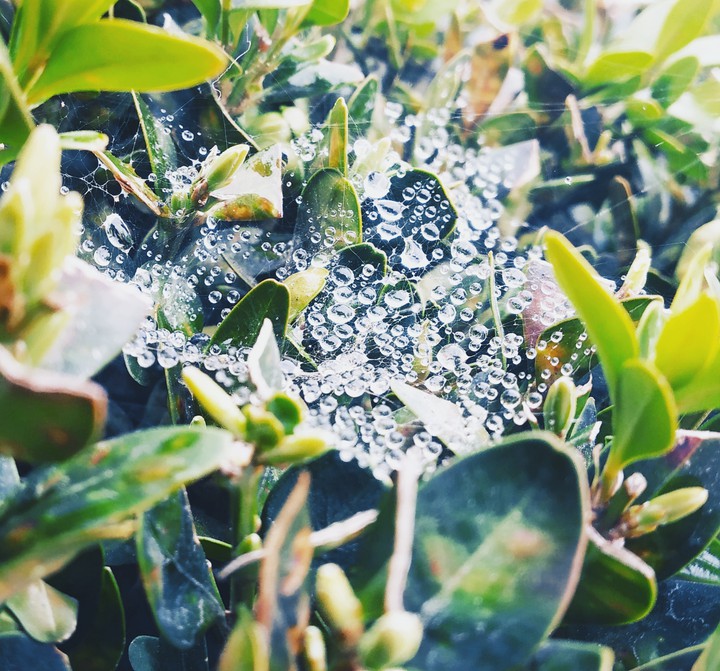 Bubble World