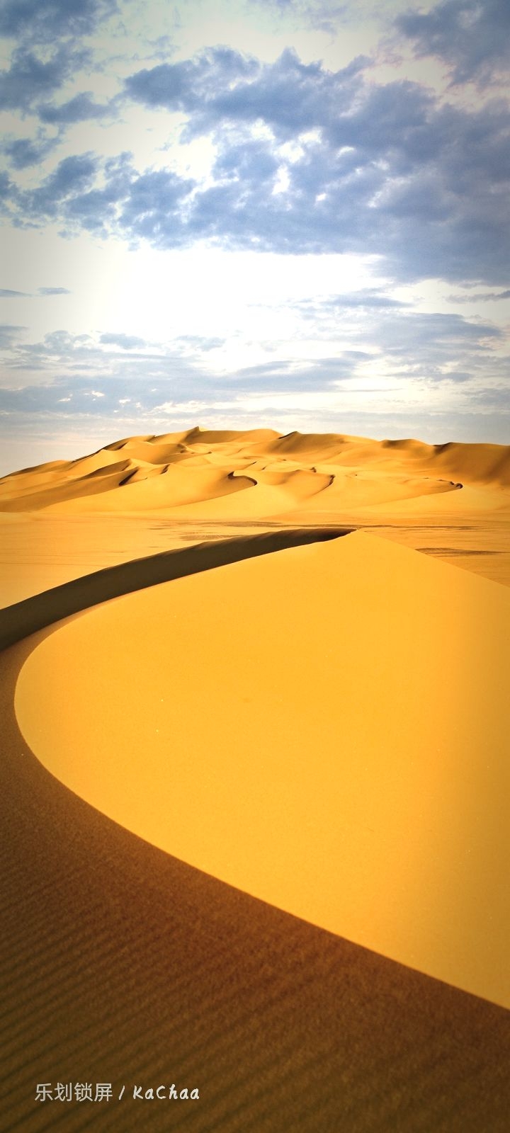 # the desert