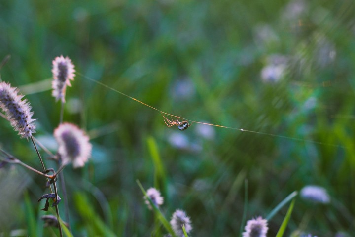 природа 2