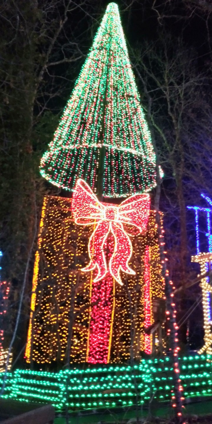 presents and trees
