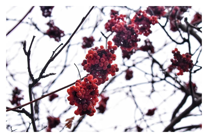 Late winter❤️