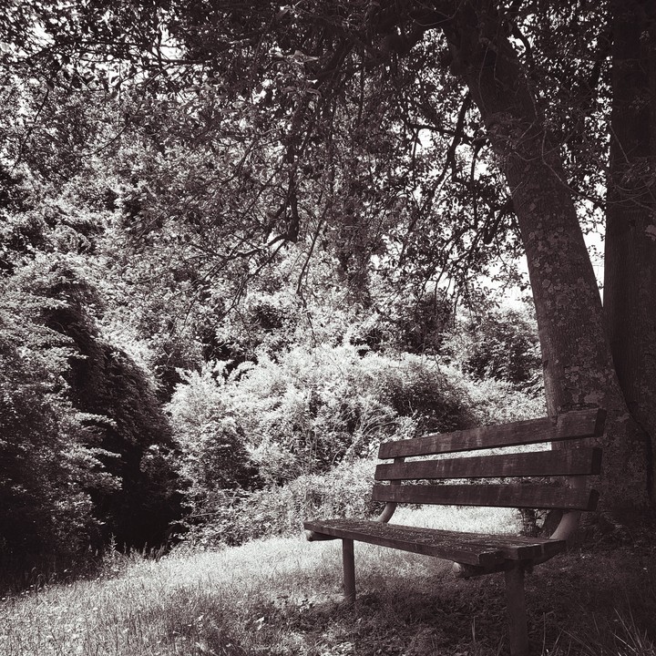 forgotten