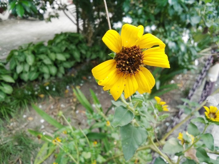 My click