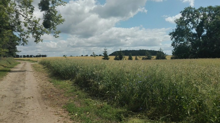Poland village