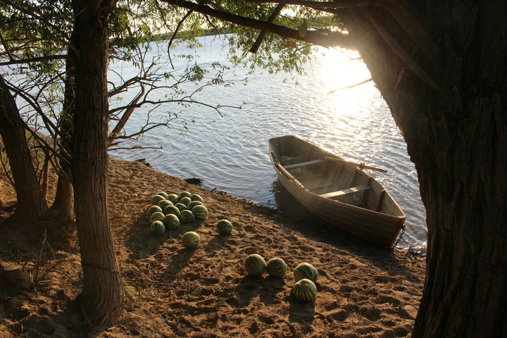 peace on the coast of the Syr-Darya