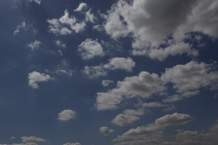 Scenics